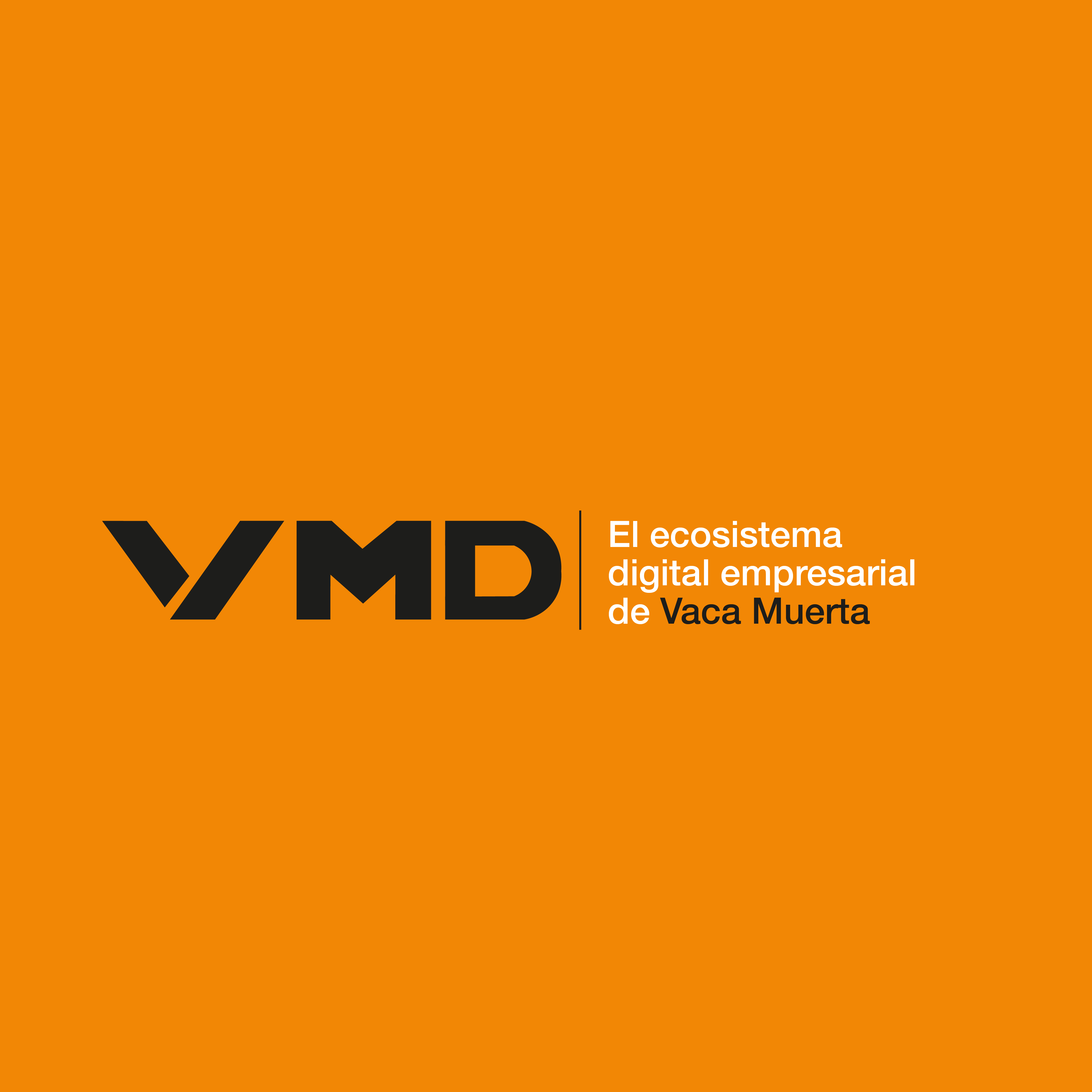 Publicidad en Vaca Muerta: cómo llegar a empresas de energía, Oil & Gas e industria