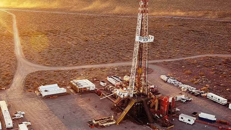 Profertil se acerca a una mega inversión para producir fertilizantes con gas de Vaca Muerta
