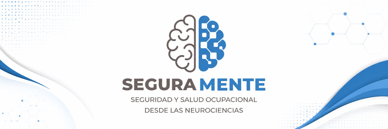 SEGURAMENTE HISE SRL
